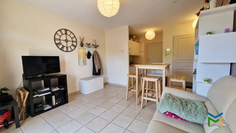 mathieuferraton-appartement-proximite-gare-26100